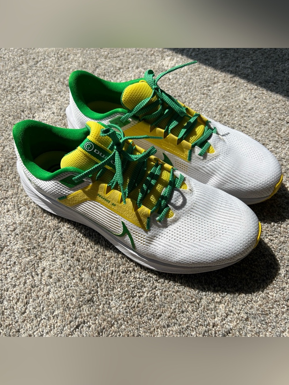 Nike Pegasus 40. Size 13.